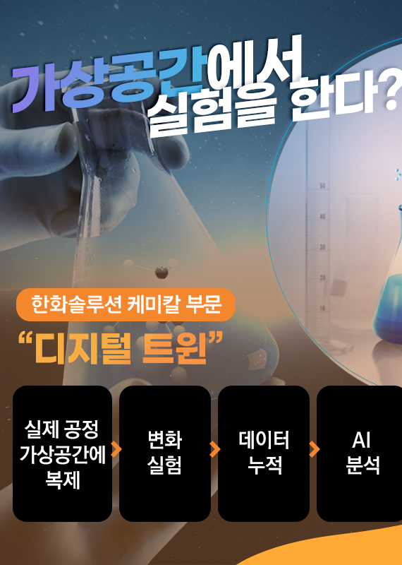 보증 사이트