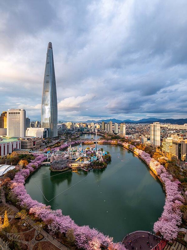 ▲봄을 맞아 벚꽃이 만개한 보증 사이트 추천 /사진=롯데물산