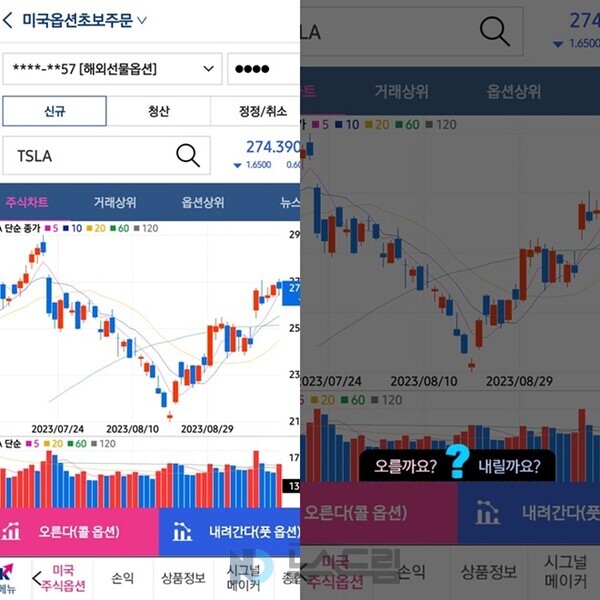 ▲키움도박의 미국옵션초보주문 서비스. 마치 '홀짝'을 떠올리게 하는 서비스 화면에 누리꾼들이 부정적 반응을 보이고 있다= 인터넷 커뮤니티 캡처