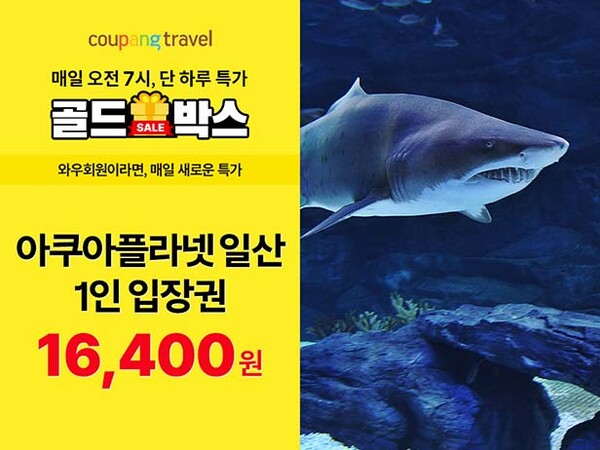 ▲사진=토토 배팅 사이트