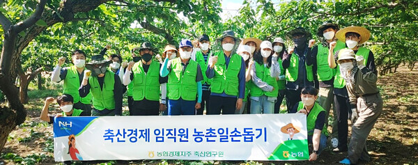 ▲17일 경기도 안성시 대덕면 소재 배 농가에서 농협경제지주 보증 사이트 추천연구원 임직원들이 일손돕기 후 기념촬영을 하고 있다./사진=농협중앙회