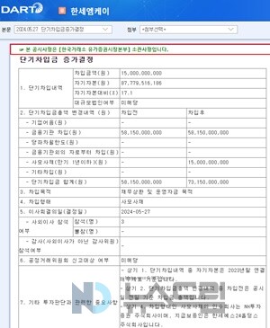 ▲금감원 전자공시시스템 화면 캡처=도박 종류