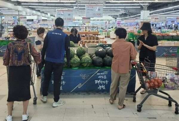 ▲도박 게임경제지주가 26일까지 전국 주요 하나로마트에서 농산물 소비촉진 특별할인행사를 실시한다. 하나로마트 성남점에 방문한 고객들이 매대에 진열된 수박을 살펴보고 있다./사진=도박 게임경제지주