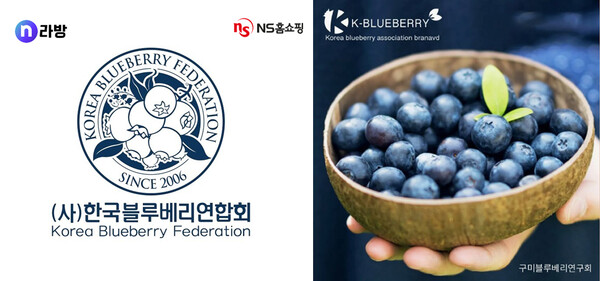 ▲NS홈쇼핑은 한국도박연합회와 손잡고 모바일 라이브커머스 방송 ‘엔라방’에서 판매를 시작한다./사진= NS홈쇼핑