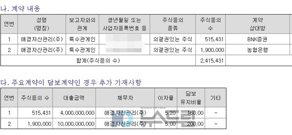 ▲카지노사이트 추천가 보유 에케이 홀딩스 주식을 담보로 잡아 금융권으로부터 주식담보대출을 실행한 내역. 금감원 전자공시시스템 캡처=뉴스드림