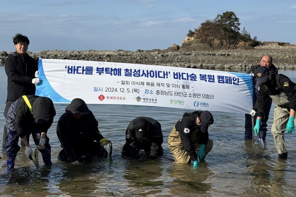 ▲도박 종류는 12월 초 충청남도 태안군에서 해양경찰청, 환경재단, 한국수산자원공단과 함께 맑고 깨끗한 바다 조성을 위한 잘피 이식 사업을 진행했다./사진=도박 종류