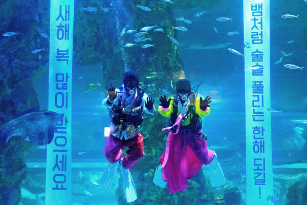 ▲새해 인사 나누는 아쿠아리스트./사진=도박 종류