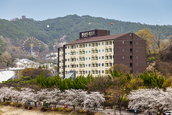 ▲켄싱턴리조트 지리산온라인 도박 리조트 벚꽃 전경./사진=이랜드파크