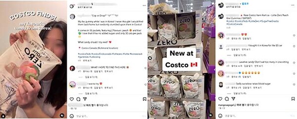 ▲이미지=온라인 검증 사이트