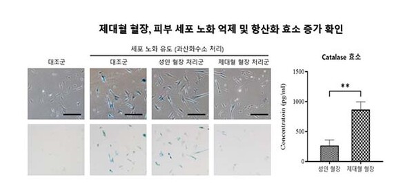 ▲이미지=메디포보증 사이트 추천