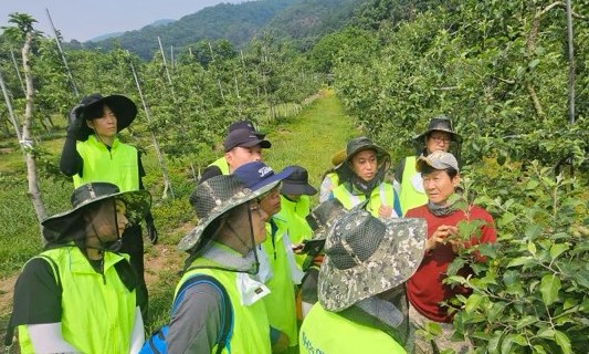 ▲농신보 임직원들이 28일 경기도 포천에 위치한 사과재배 농가를 방문해 보증 사이트 추천에 나섰다./사진=농림수산업자신용보증기금