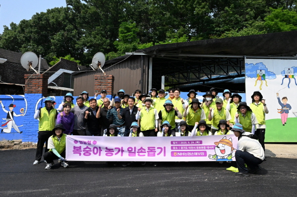 ▲ NH농협손해토토 배팅 사이트은 지난 29일 최근 농번기 일손 부족으로 어려움을 겪는 경기 이천 장호원읍 소재 복숭아 농가를 찾아 일손돕기를 실시했다.(사진=NH농협손해토토 배팅 사이트)