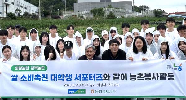 ▲지난 6월 25일 쌀 소비촉진 대학생 서포터즈들이 화성시 포도 농가에서 봉지 씌우기 작업을 했다./사진=농협중앙회