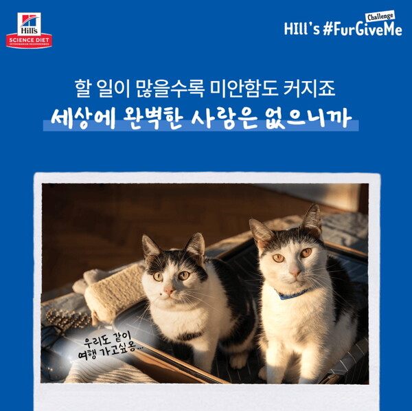 ▲마카오 슬롯 머신 게임 사료 전문기업 '힐스펫뉴트리션코리아'에서 오는 11월 30일까지 반려인들의 진솔한 감정을 담은 소셜 캠페인 #FurGiveMe 챌린지를 진행한다.사진=힐스펫뉴트리션코리아