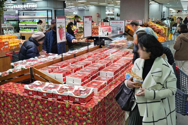 ▲롯데마트 제타플렉스 잠실점 딸기 매대 전경./사진=롯데쇼핑