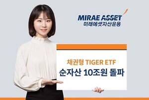 보증 사이트