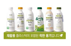 보증 사이트