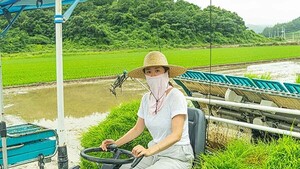 도박