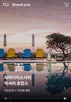 보증 사이트