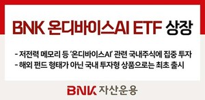 보증 사이트