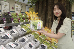 도박 사이트 추천