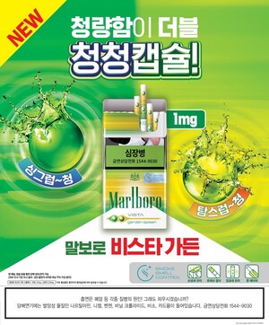 보증 사이트