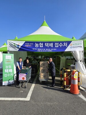 보증 사이트 추천