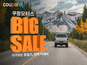 보증 사이트