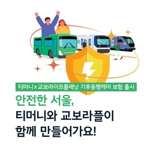 보증 사이트 추천
