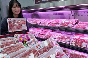 토토 배팅 사이트