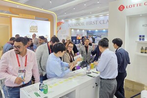 배팅 사이트
