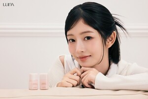 보증 사이트