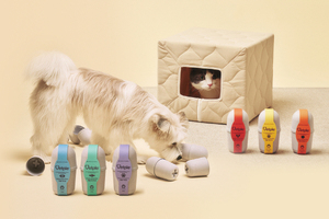 동아제약 벳플, 반려동물 '영양제 시장' 새 지평 열었다 - 뉴스 썸네일 이미지