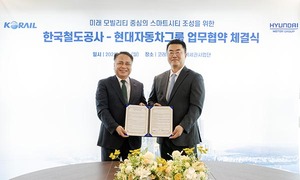 보증 사이트 추천