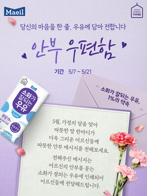 보증 사이트