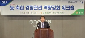 보증 사이트