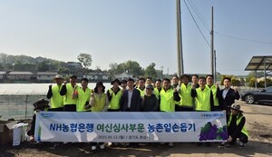 보증 사이트
