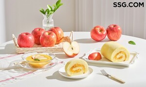 보증 사이트