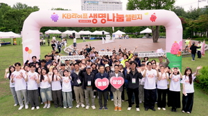 보증 사이트