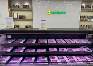 보증 사이트