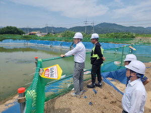 보증 사이트 추천