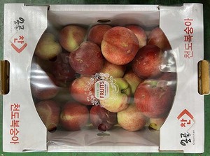 보증 사이트
