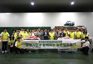 보증 사이트 추천