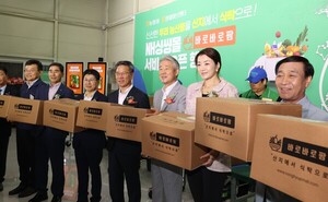 온라인 검증 사이트